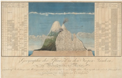 
Naturgemälde 
,Tableau physique des Andes et pays  voisins, en Humboldt y Bonpland (1805)