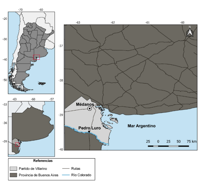 Localización geográfica de Pedro Luro