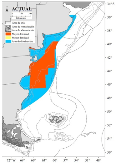 Distribución  espacial de la pesquería de langostino en el Mar Argentino.